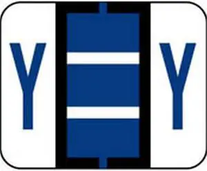 Smead Compatible "Y" Labels, Polylaminated Stock, 1" X 1-1/4" Individual Letters - Pack of 120