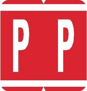 GBS Compatible "P" Labels, Laminated Stock, 1-5/16" X 1-1/4" Individual Letters - Pack of 200