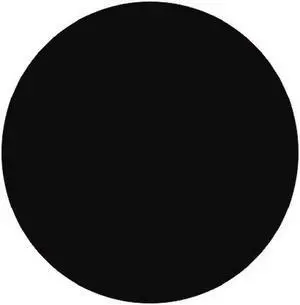 2" Diameter Black Circle Labels (500 per Roll)