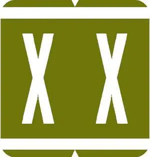 GBS Compatible "X" Labels, Laminated Stock, 1-5/16" X 1-1/4" Individual Letters - Pack of 200