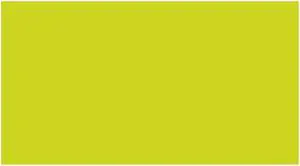 5" x 7" Fluorescent Green Rectangle Labels (500 per Roll)