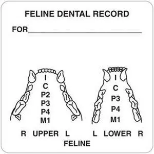 Feline Dental Record 2-1/2" x 2-1/2" White Label (Roll of 390)