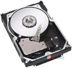 IBM 146 GB 2.5' Internal Hard Drive