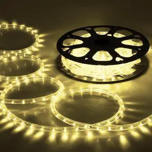 DELight 50 Ft 2 Wire LED Rope Light Holiday Valentine Party Decorative Lighting Warm White
