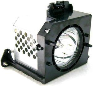 Samsung BP96-00224C  OEM Replacement Projection TV Lamp. Includes New Philips Bulb and Housing