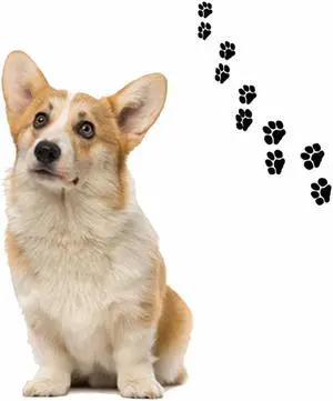 Andreas Round Silicone Mat Jar Opener, Corgi Dog, 6.25 Inch Andreas Round Silicone Mat Jar Opener, Corgi Dog, 6.25 Inch