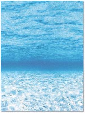 Pacon 56525 Fadeless Designs Bulletin Board Paper  Under Sea  Acid-Free  48   x 50  Rl