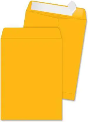 Quality Park High Bulk Redi Strip Catalog Envelope 9 x 12 250/Box 41420