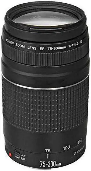 Canon EF 75-300mm f/4-5.6 III Telephoto Zoom Lens for Canon SLR Cameras (Renewed)