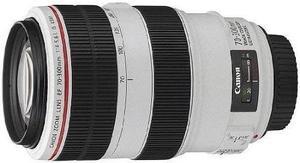 Canon EF 70-300mm f4-5.6 L is USM Lenses