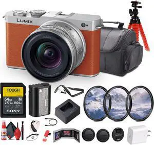 Panasonic Lumix S9 Mirrorless Camera with S 20-60mm f/3.5-5.6 Lens Bundle