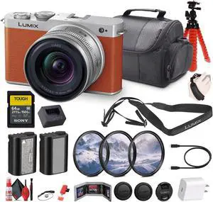 Panasonic Lumix S9 Mirrorless Camera with S 20-60mm f/3.5-5.6 Lens Bundle