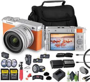 Panasonic Lumix S9Camera with 18-40mm f Lens (Orange), 2x 64GB Memory Card
