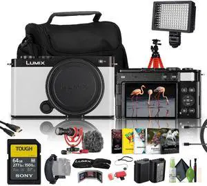 Panasonic Lumix S9Camera (White), 64GB SF-M Tough Series UHS-II SDXC Memory Card