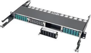 Tripp Lite N484-12M24 100Gb/120Gb Pass-Through Cassette - (x12) 24-Fiber MTP/MPO Female to Female