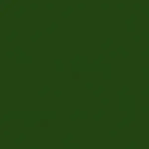 Rosco Roscolux Green Diffusion, 20x24" Sheet of Light Diffusing Material