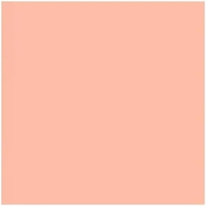 Lee Filters English Rose 24x21" Gel Filter Sheet #108S Lee Filters English Rose 24x21" Gel Filter Sheet #108S