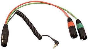 Ambient Recording Breakout Cable 7-Pin XLR F to Dual 3-Pin XLR M, 3.5mm TRS RA