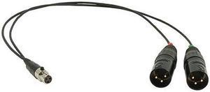 Ambient Recording 15" TA3F to 2x XLR-3M Unbalanced Adapter Cable #SKATA3F2XLR3M