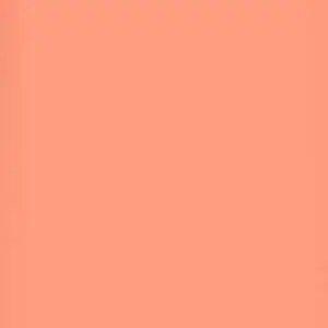 Lee Filters Dark Salmon 48"x25' Roll Gel Filter
