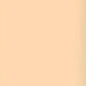 Lee Filters 1/2 CTO 24x21" Gel Filter Sheet