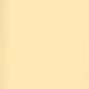 Lee Filters Sun Color Straw 24x21" Gel Filter Sheet