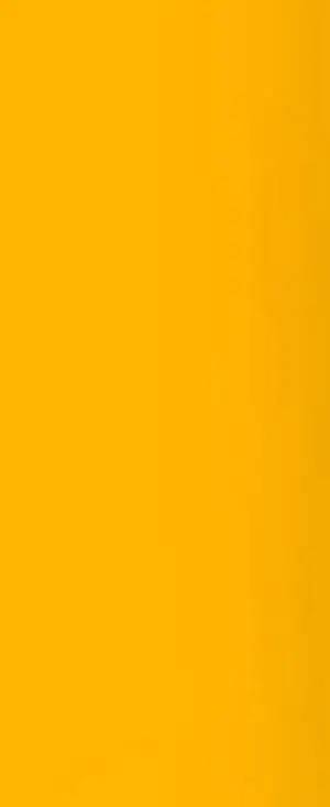 Lee Filters Burnt Yellow 24x21" Gel Filter Sheet