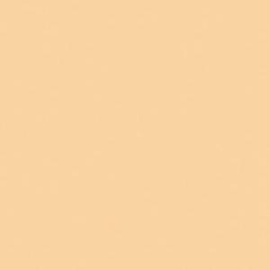 Rosco Cinegel #3442 1/2 Straw CTS Filter, 48"x25' Roll #101034424825