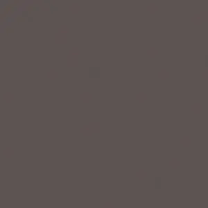 Rosco Roscolux 98 Medium Gray Color Effects Lighting Filter, 20x24" Sheet
