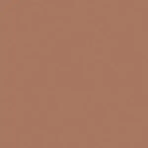 Rosco Roscolux Chocolate, 20x24" Color Effects Lighting Filter