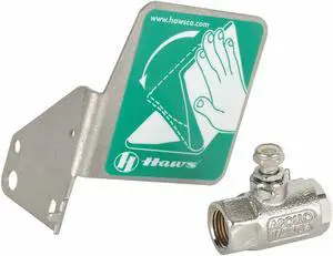 HAWS SP225 Ball Valve vWith Flag Handle 1/2 In. IPS