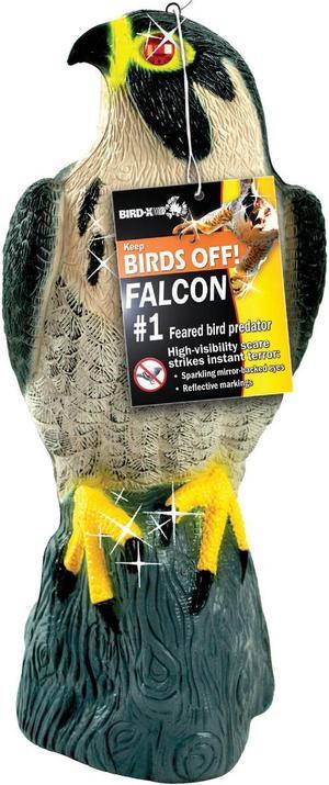 Bird X 17 In. H. x 8 In. Dia. Falcon Pest Deterrent Decoy FALCON