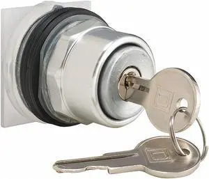 Schneider Electric Pushbutton,30mm  9001KR131