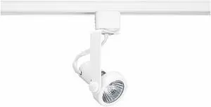 Track Fixture, Open Back, 50W, 120V