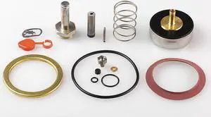 ASCO 310388 Valve Rebuild Kit,With Instructions