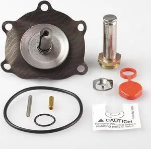 ASCO 302286 Valve Rebuild Kit,With Instructions