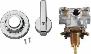 POWERS E423-0000 Hydroguard E423 Thermostatic Valve