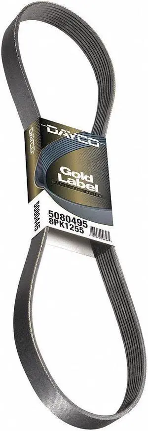 Dayco Serpentine Belt   5030268