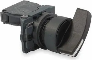 SCHNEIDER ELECTRIC XB5AJ21 Non-Illum Selector Switch,Polyamide,2P