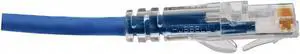 Hubbell Premise Wiring 1 ft. Clear Boot 6A Voice and Data Patch Cord, Blue