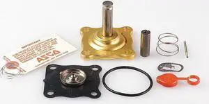 ASCO 302307 Valve Rebuild Kit,With Instructions