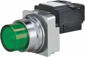 Pilot Light Complete, LED, 120V, 30mm, GR