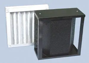 Carbon Module and Pleated Filter