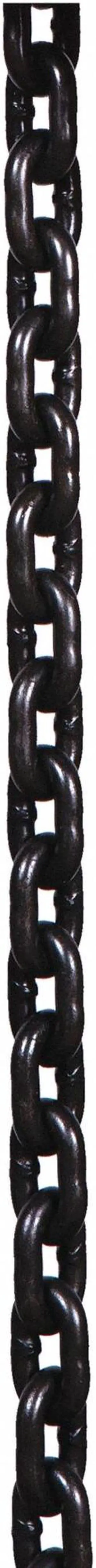 Dayton Load Chain Hoist   GGS_56953