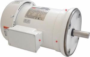 DAYTON 5XAU5BG Washdown Motor,3 Ph,TEFC,3 HP,1765 rpm