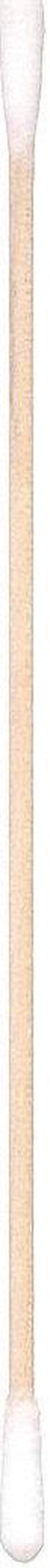 TECHSPRAY 2300-100 Cotton Swab,Dbl Tip,3/16 x 6 In,PK100