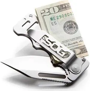 SOG Cash Card Money Clip Pocket Knife- 2.75 Inch Blade EDC Knife with Clip for Pocket, Money or Card Holder, Stainless Steel Handle with Built-In Lanyard Hole (EZ1-CP)