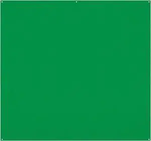 Westcott X-Drop Pro Wrinkle-Resistant 8' x 8' (2.44 x 2.44m) Backdrop for Headshots  Photoshoots  Group Portraits  Video Interviews  & Photo Booths - Portable and Travel Friendly (Chroma Key Green)