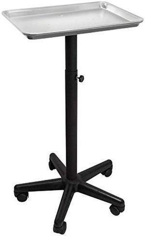 saloniture premium aluminum instrument tray  silver