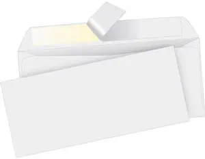Business Source Peel/Seal Envelopes Plain No. 10 4-1/2"x9-1/2" 500/BX WE 04646